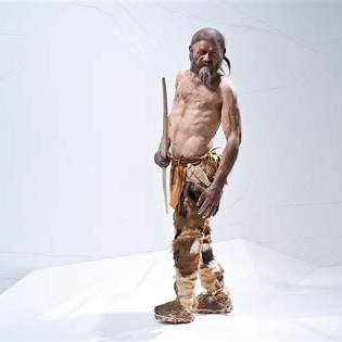 Official reconstruction of Ötzi the Iceman by sculptors Adrie and Alfons Kennis, depicting the 5,300-year-old Tyrolean Iceman whose remains later showed genetic evidence consistent with Borrelia burgdorferi infection.